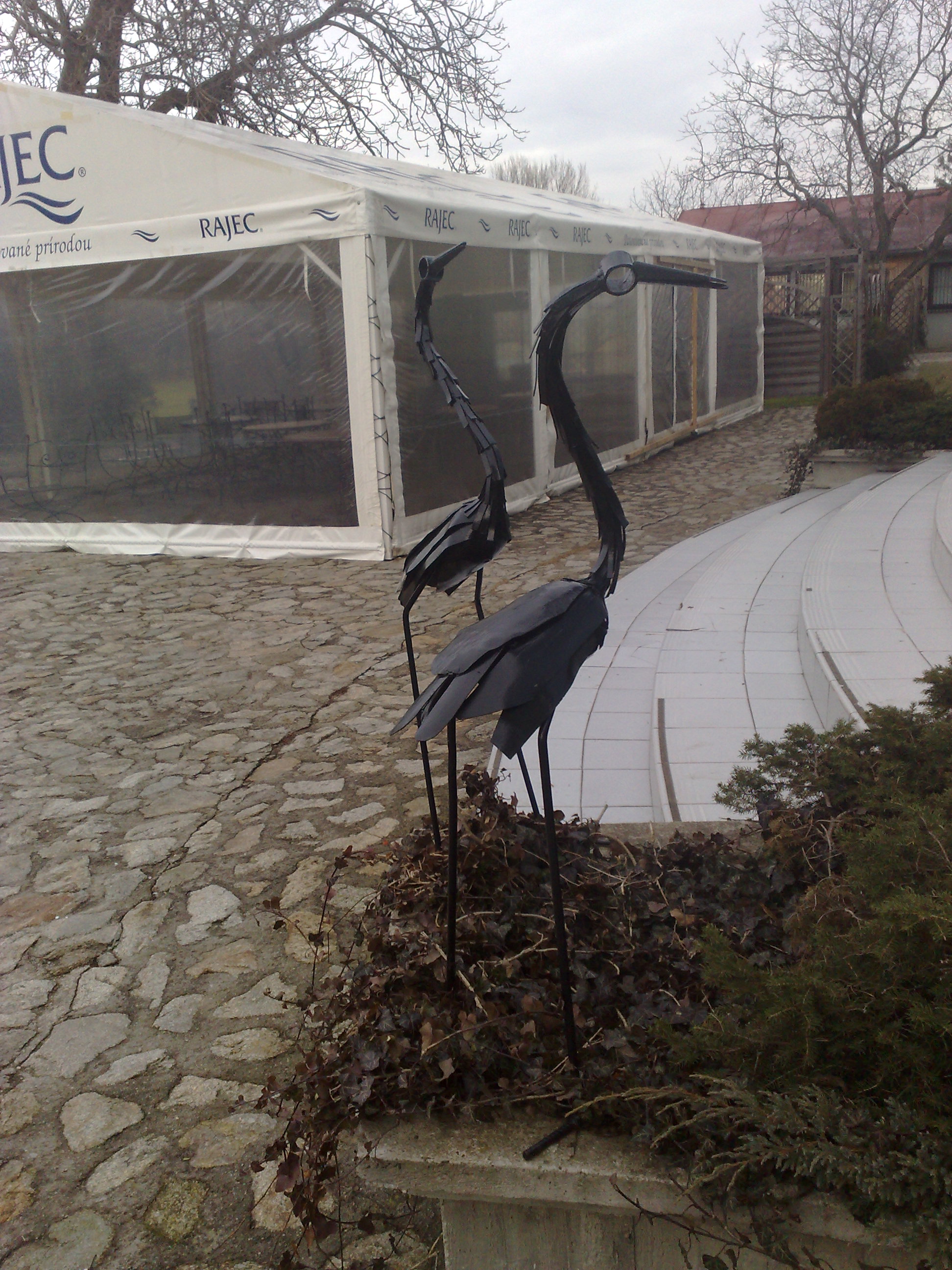 07022009054.jpg